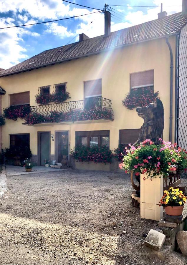 gîte de montagne au pied du Champ du Feu  Belmont  Extérieur photo